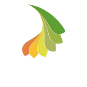 ZJ SPORT Paddles logo